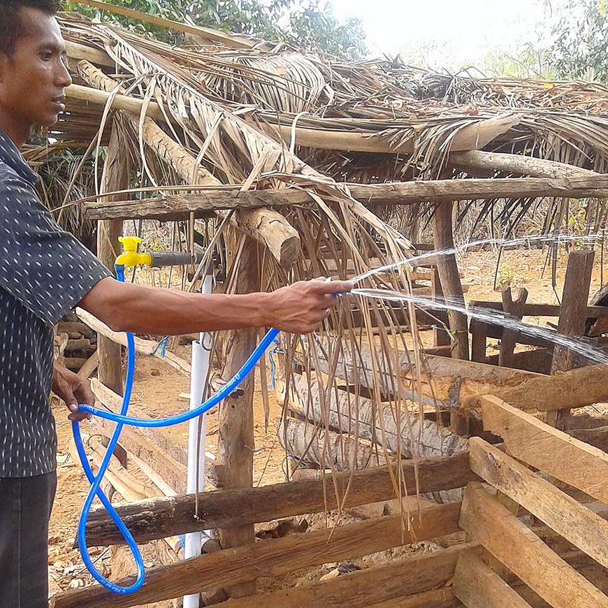 Caption here - Curabitur id lorem in quam hendrerit maximus. Suspendisse eu pulvinar dolor.